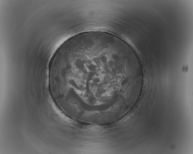 X0000113251079200909241606