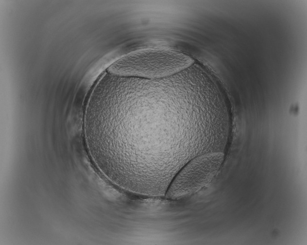 X0000113251081200909241606