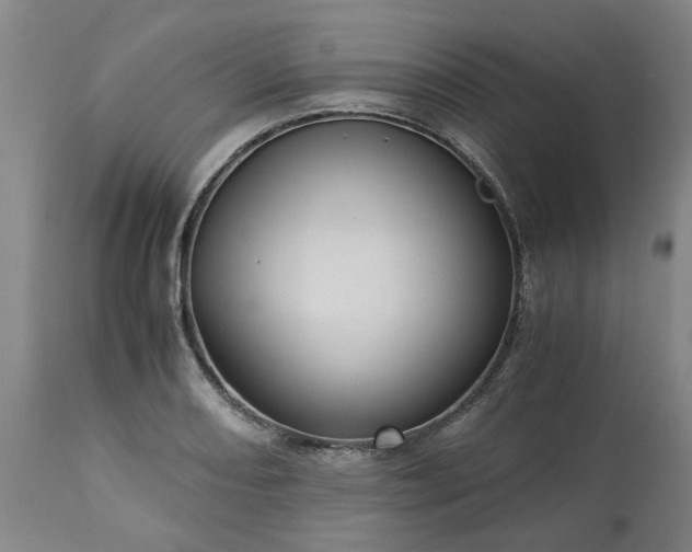 X0000113251082200909241606