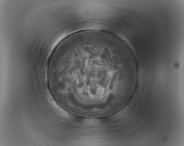 X0000113251083200909241606