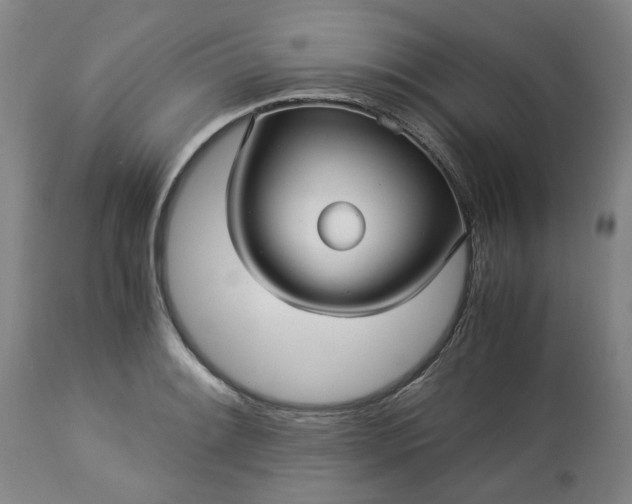 X0000113251084200909241606