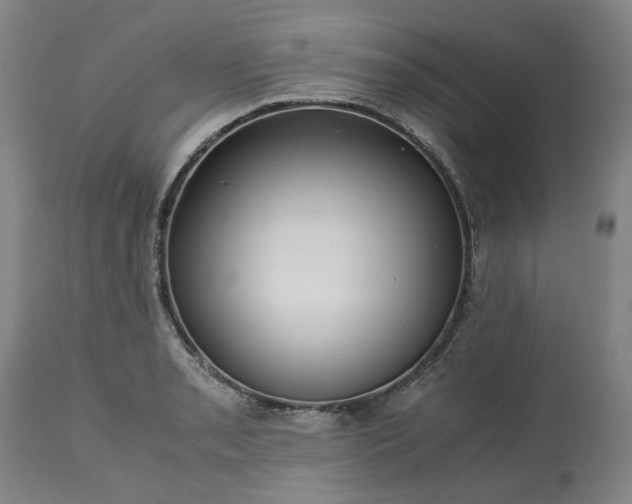 X0000113251085200909241605