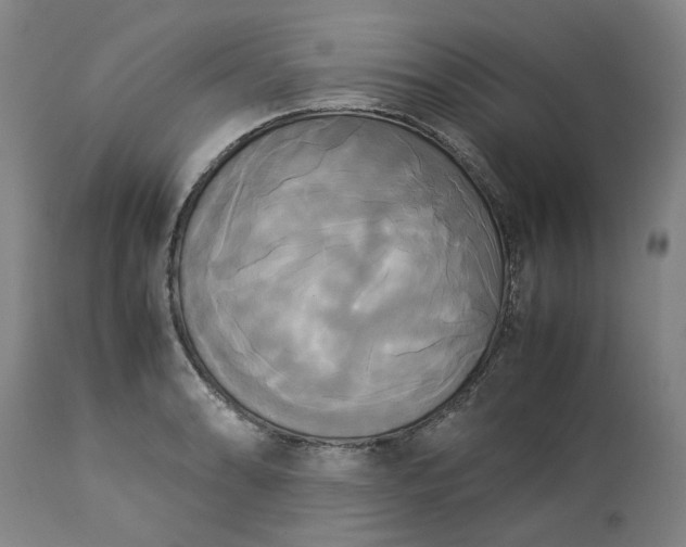 X0000113251086200909241605