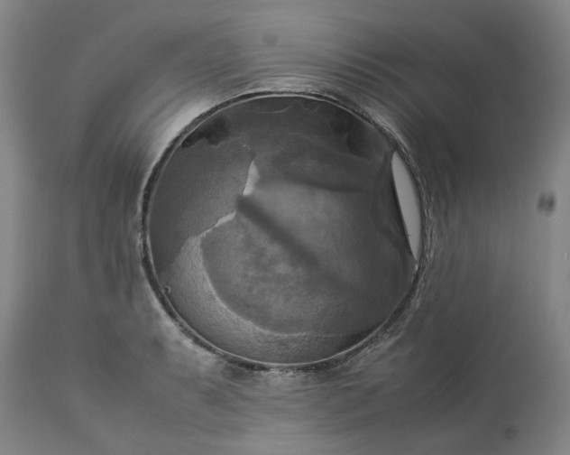 X0000113251087200909241605