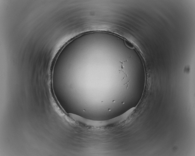 X0000113251088200909241605