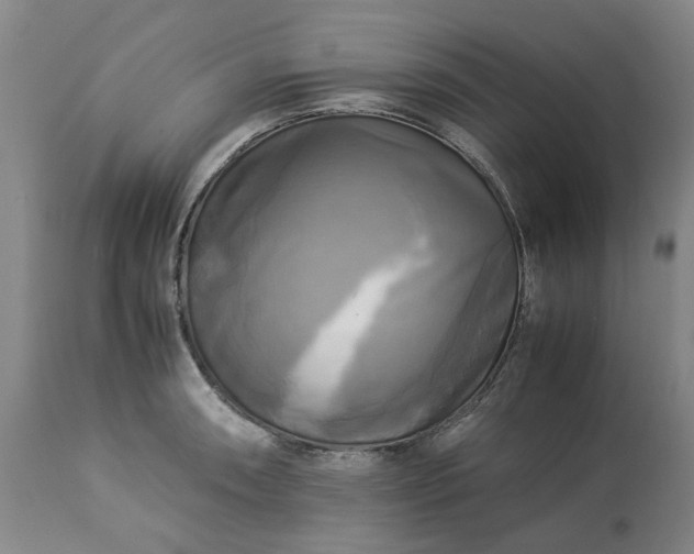 X0000113251090200909241605