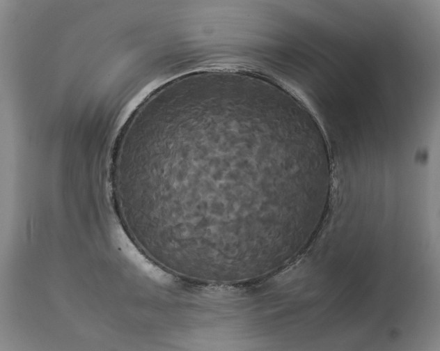 X0000113251091200909241605