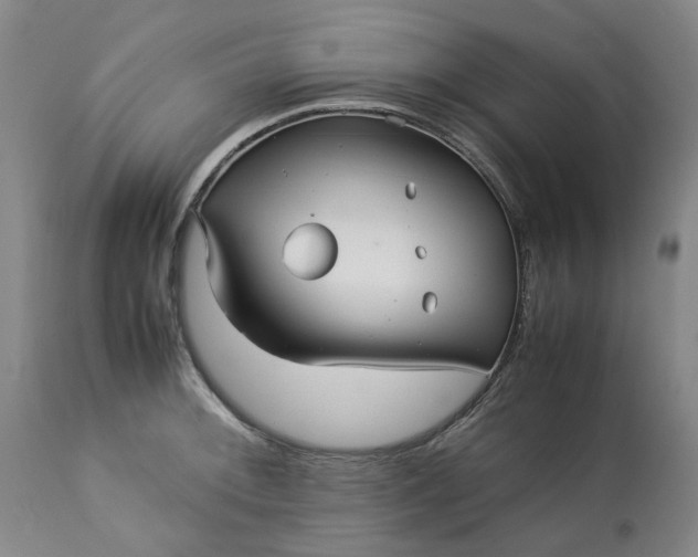 X0000113251092200909241605