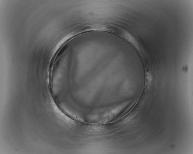 X0000113251095200909241605