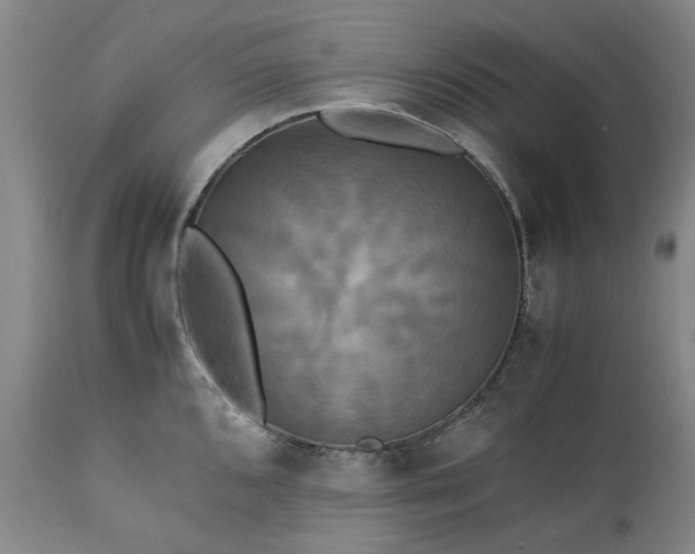 X0000113251096200909241605