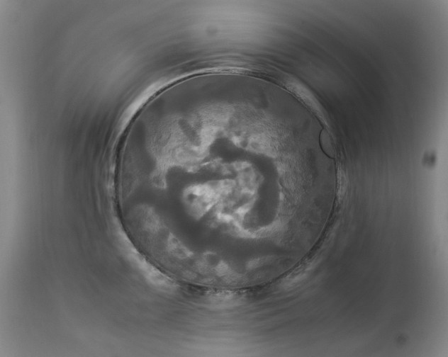 X0000113251099200909241605