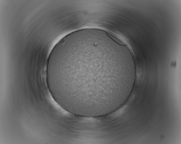 X0000113251100200909241605