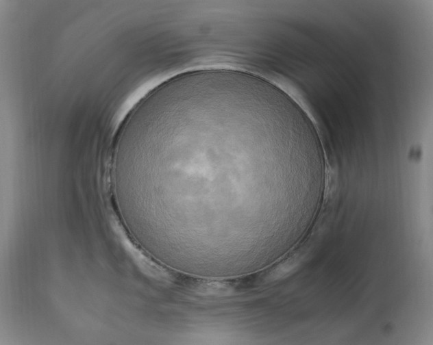 X0000113251101200909241605