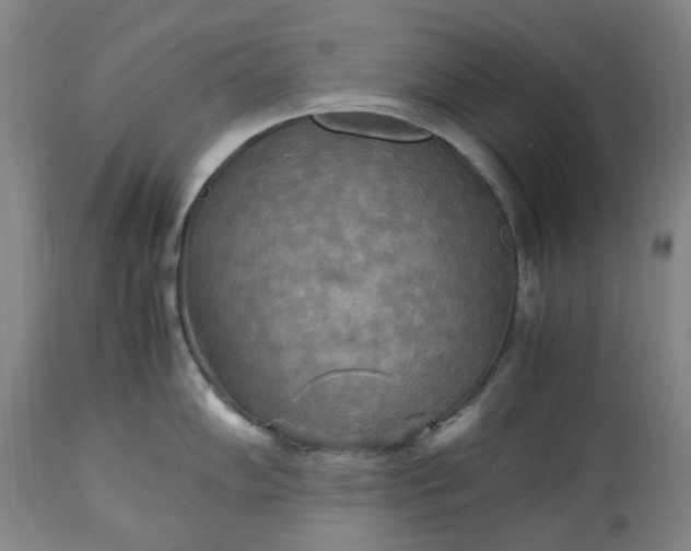 X0000113251102200909241605