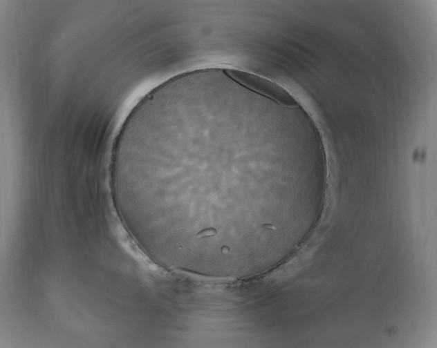 X0000113251104200909241605