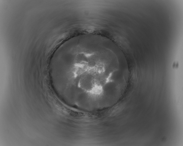 X0000113251105200909241604