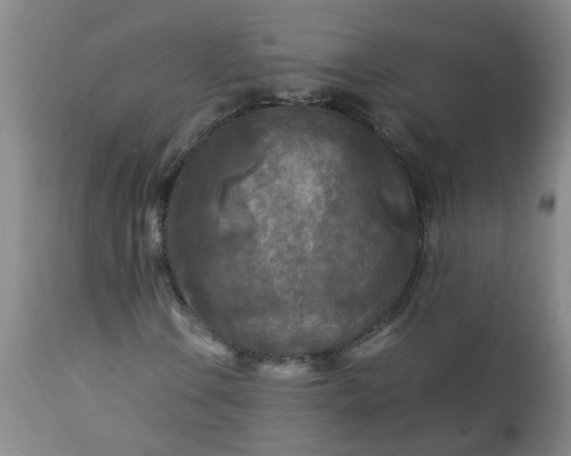 X0000113251106200909241604