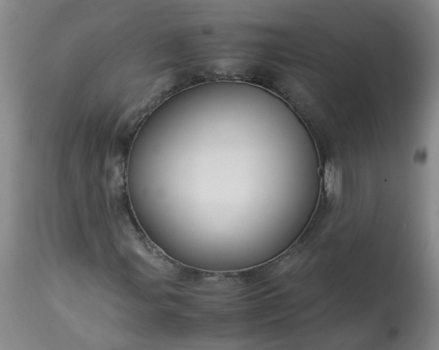 X0000113251107200909241604