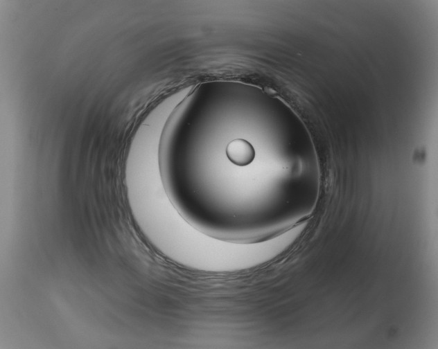 X0000113251108200909241604