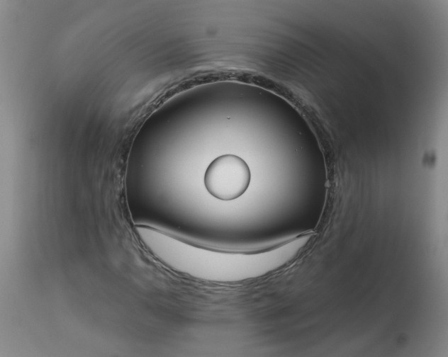 X0000113251110200909241604