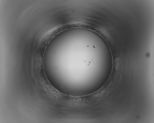 X0000113251111200909241604