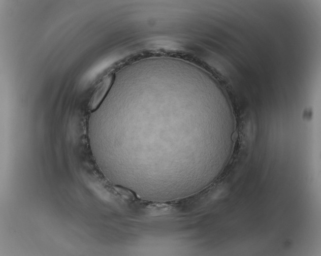 X0000113251112200909241604