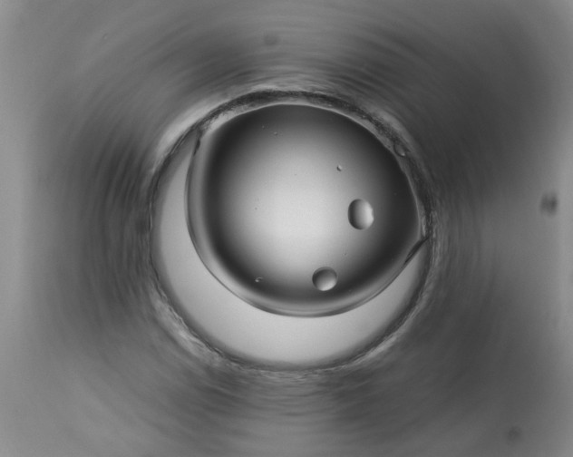 X0000113251114200909241604