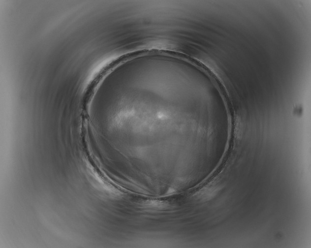 X0000113251115200909241604