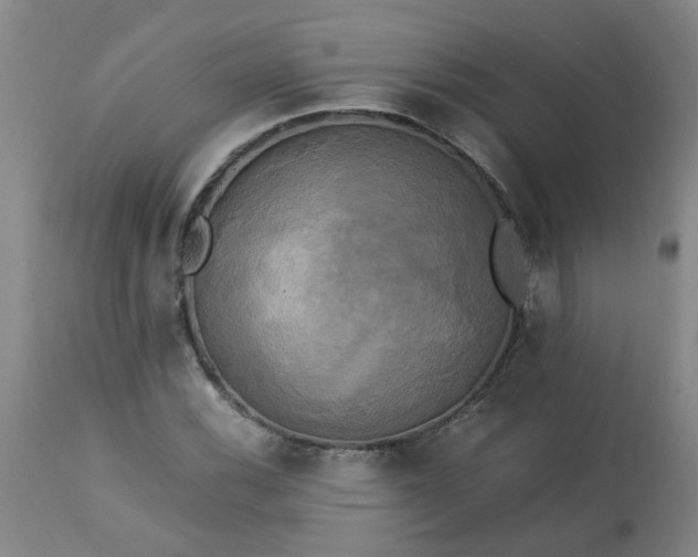 X0000113251116200909241604