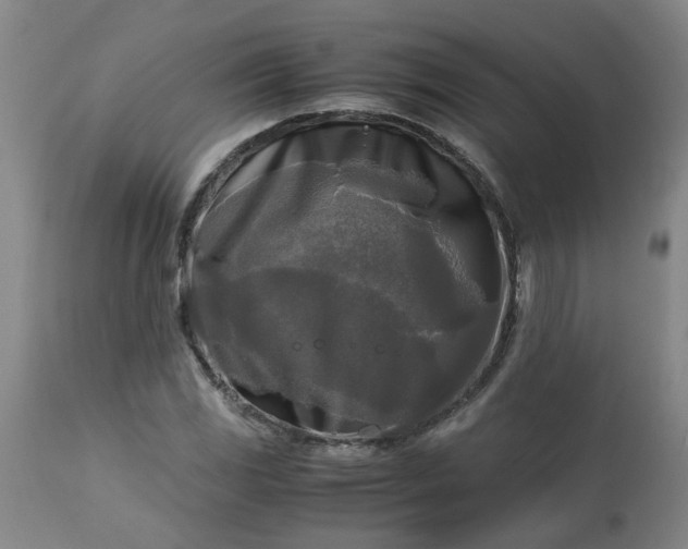 X0000113251117200909241605