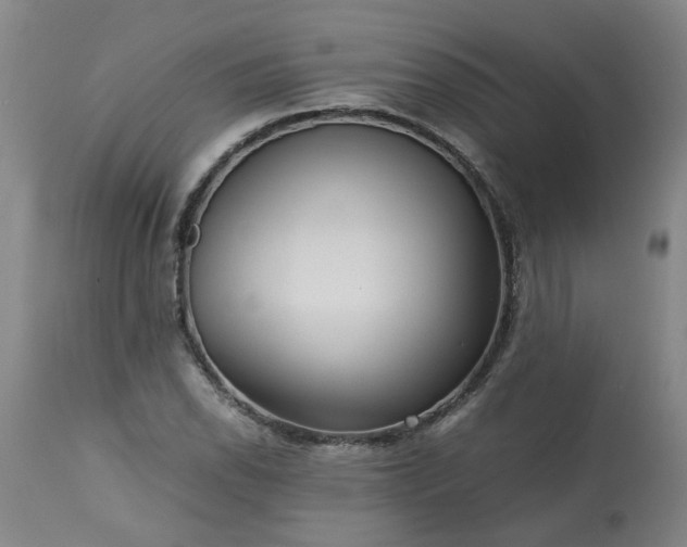 X0000113251118200909241605