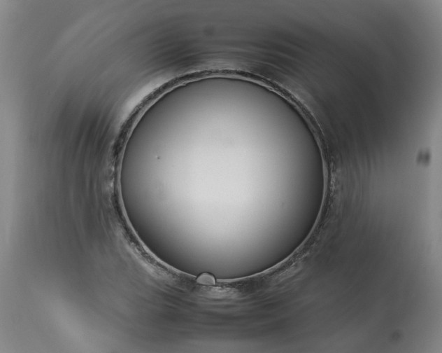 X0000113251119200909241605