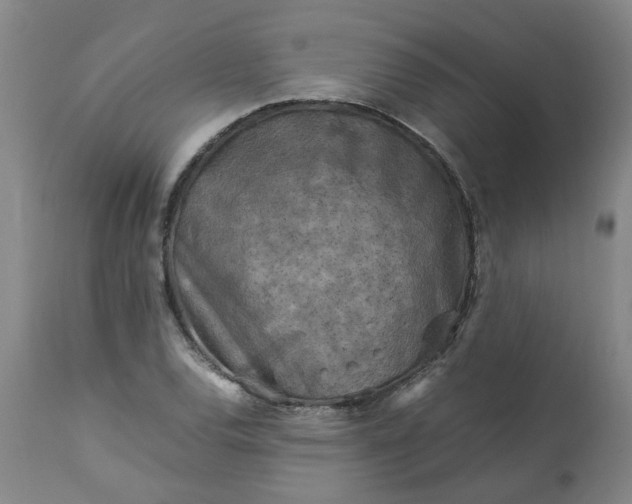 X0000113251120200909241605