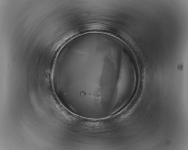 X0000113251121200909241605