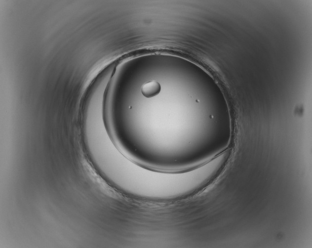 X0000113251122200909241605