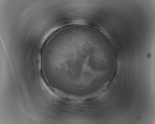 X0000113251123200909241605