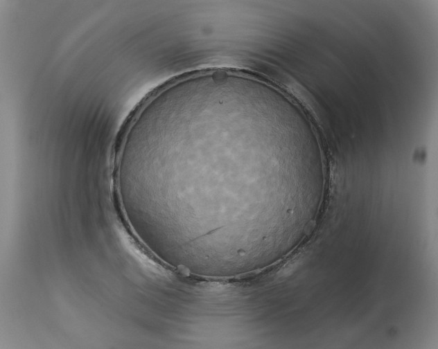 X0000113251124200909241605