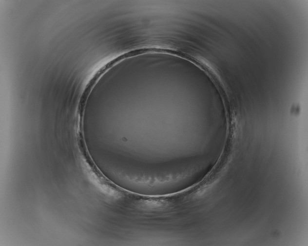 X0000113251125200909241605