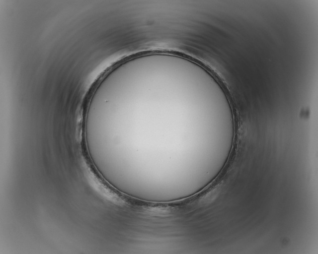 X0000113251126200909241605