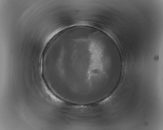 X0000113251127200909241605