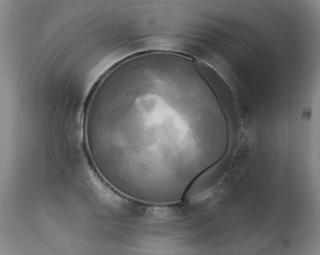 X0000113251128200909241605