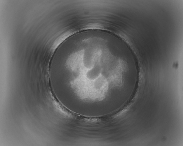 X0000113251129200909241605