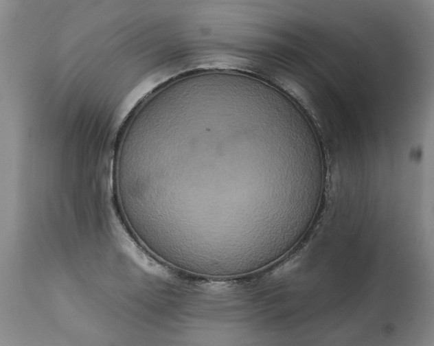 X0000113251130200909241605