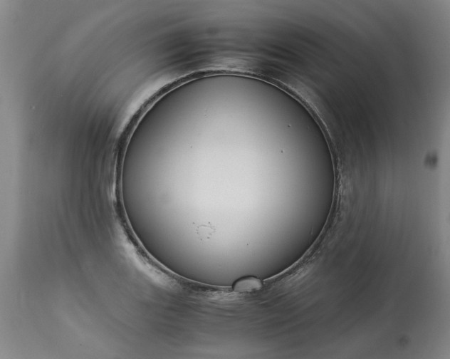 X0000113251131200909241605