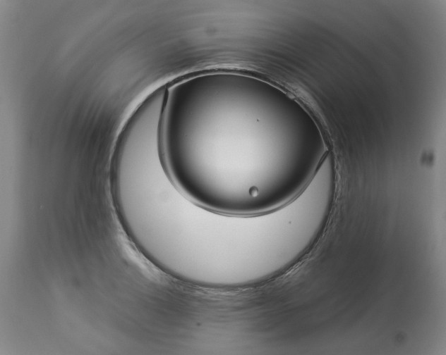 X0000113251132200909241605