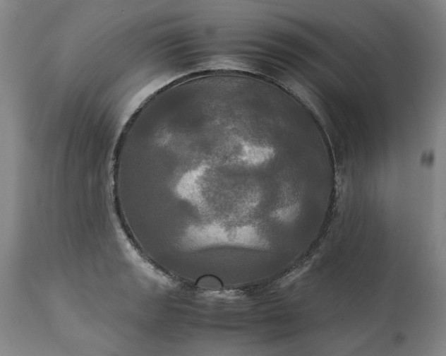 X0000113251133200909241605