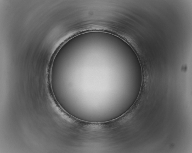 X0000113251134200909241605