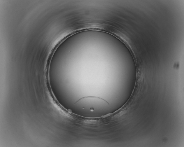 X0000113251135200909241605