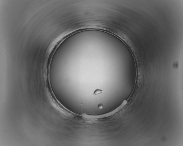 X0000113251136200909241605