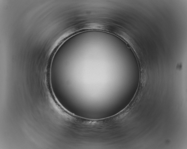 X0000113251139200909241605